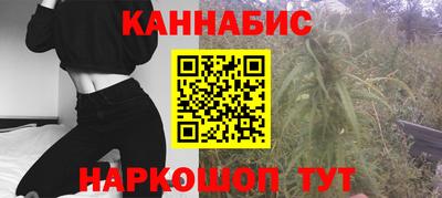 гидра Вязьма