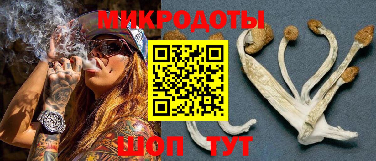 Галлюциногенные грибы GOLDEN TEACHER Вичуга