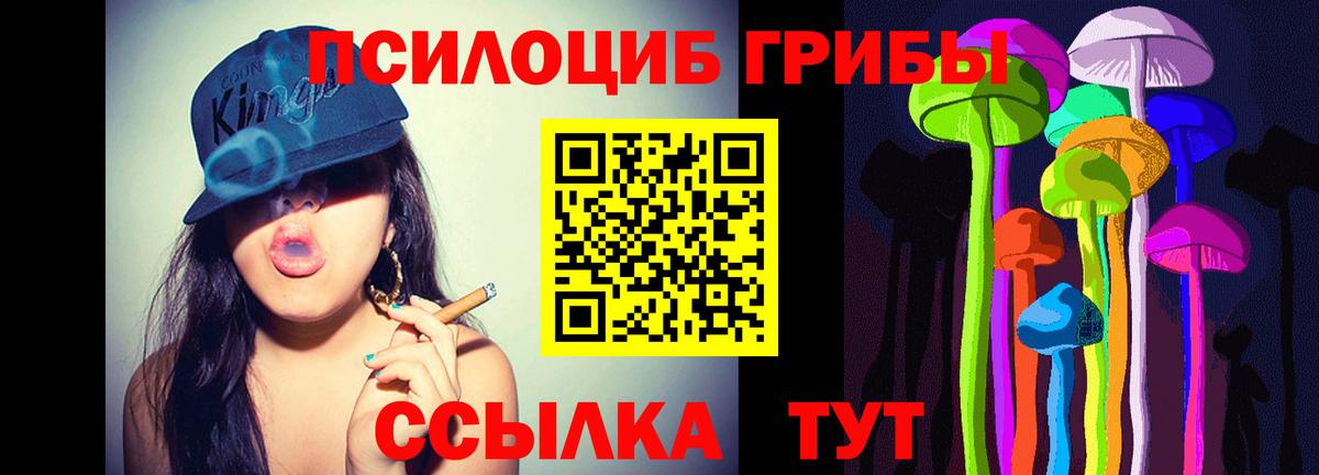 Псилоцибиновые грибы Psilocybe  Вход с VPN  Галлюциногенные грибы GOLDEN TEACHER  Вичуга 